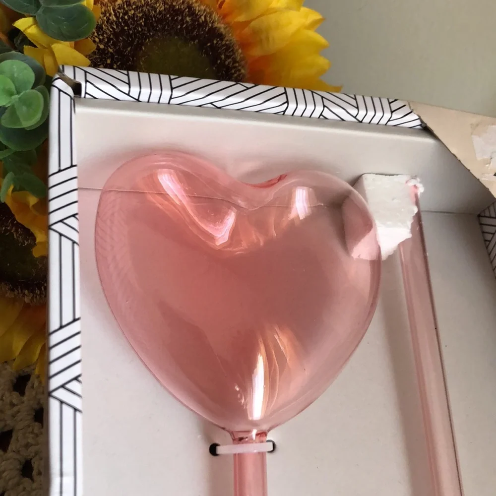 Rachel Zoe Pink Heart-Shaped Glass Watering Globes for Plants- Set of 2